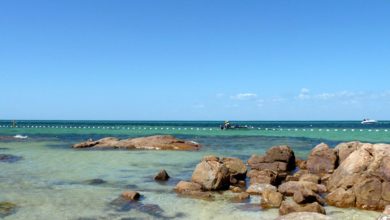 Un joven en estado crítico por un ataque de tiburón en una playa del noreste de Australia