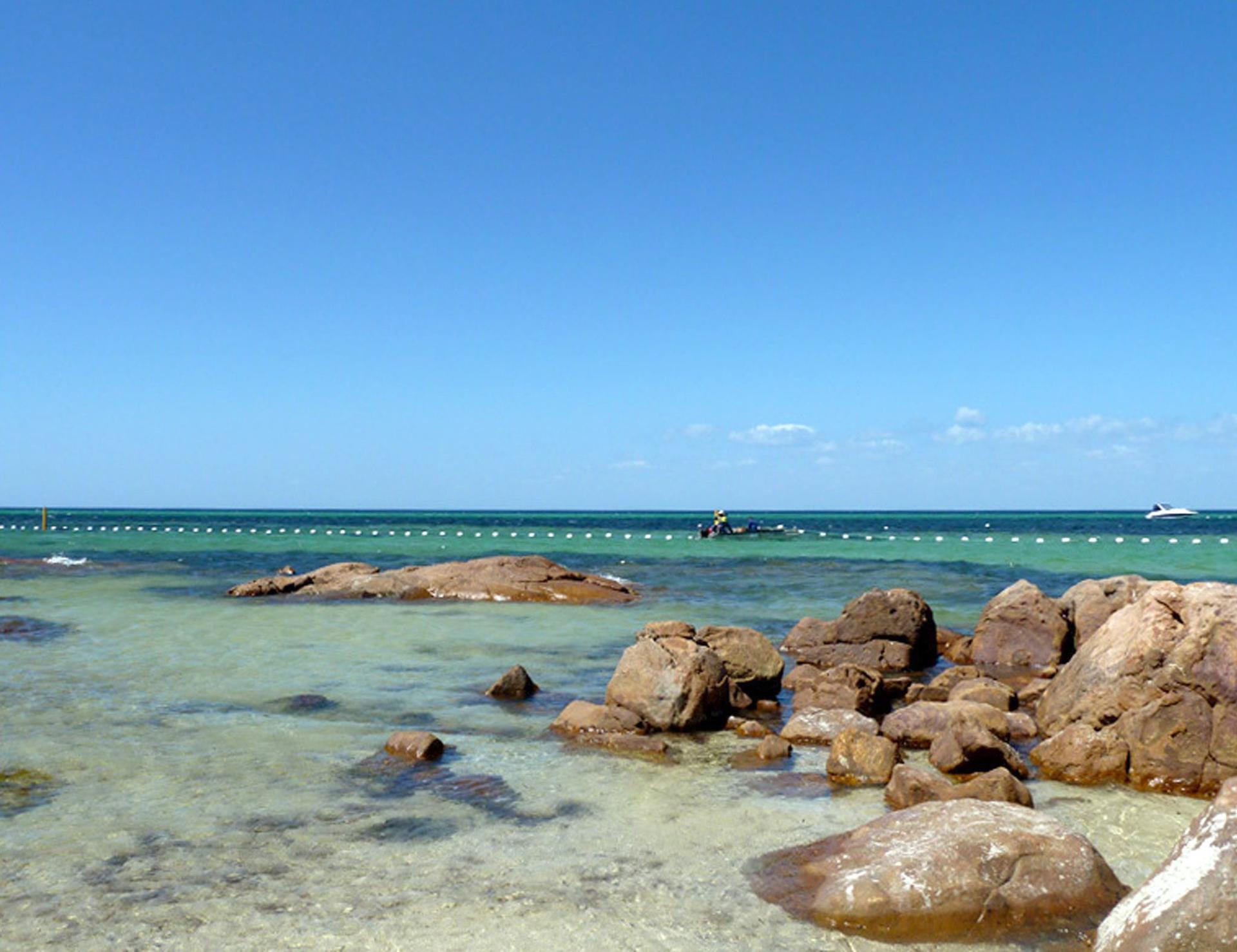 Un joven en estado crítico por un ataque de tiburón en una playa del noreste de Australia