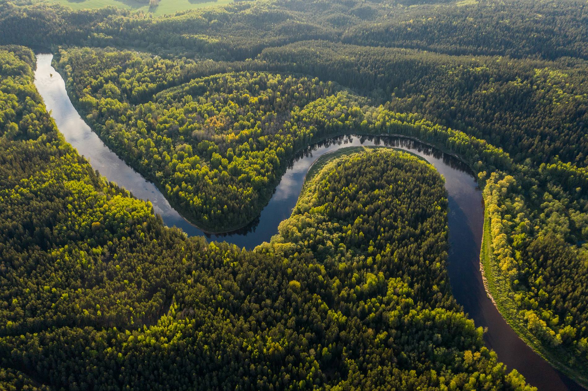 El rio Amazonas, un gigante fluvial que desafía los límites