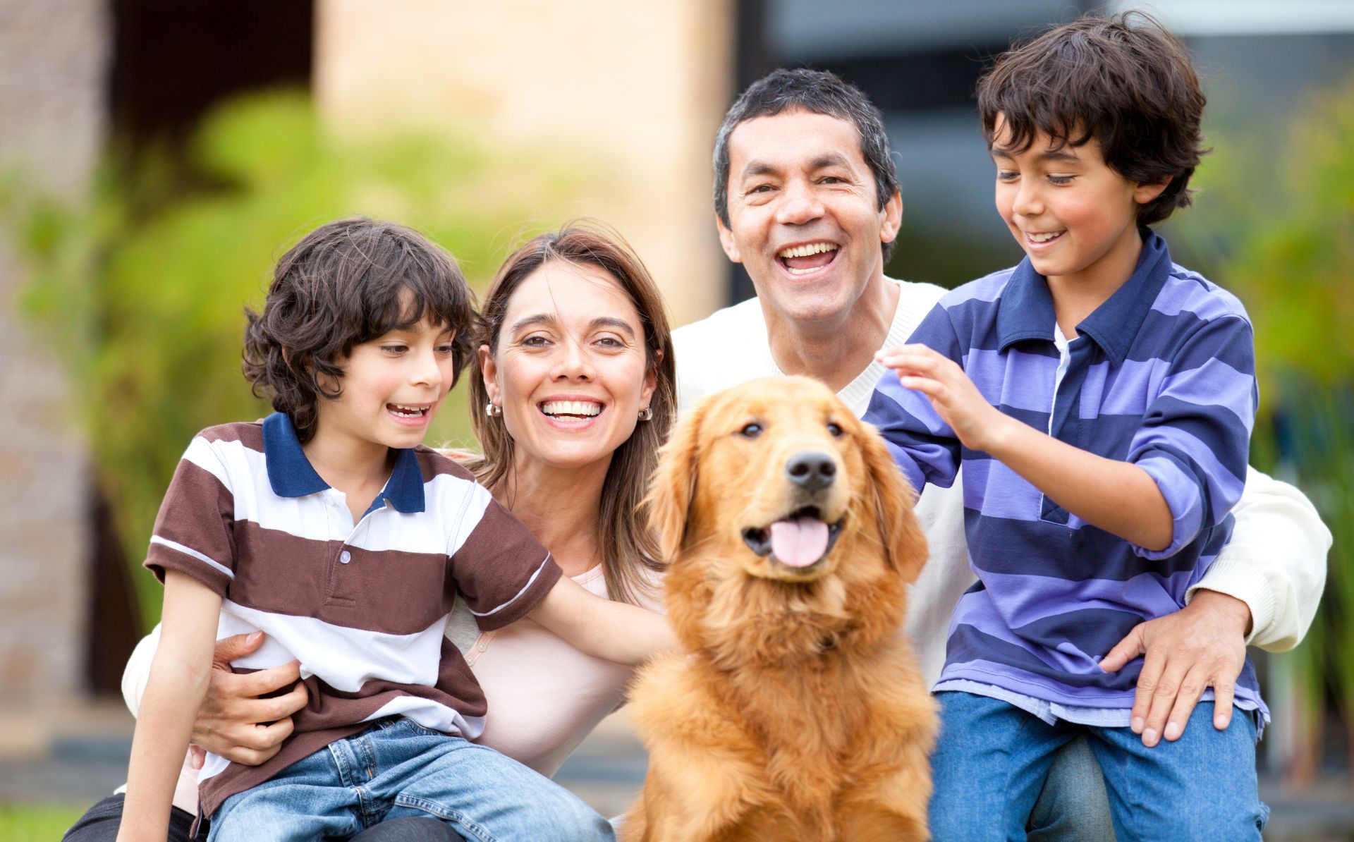 Mes de la Herencia Hispana ¿Qué raza de perro prefieren los latinos?