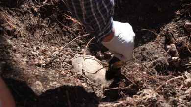 Suben a 17 los cuerpos encontrados en fosas clandestinas en el sur de México