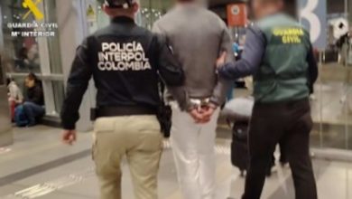 Cae una red de venta fraudulenta de mascotas con 28 detenidos en España y Colombia