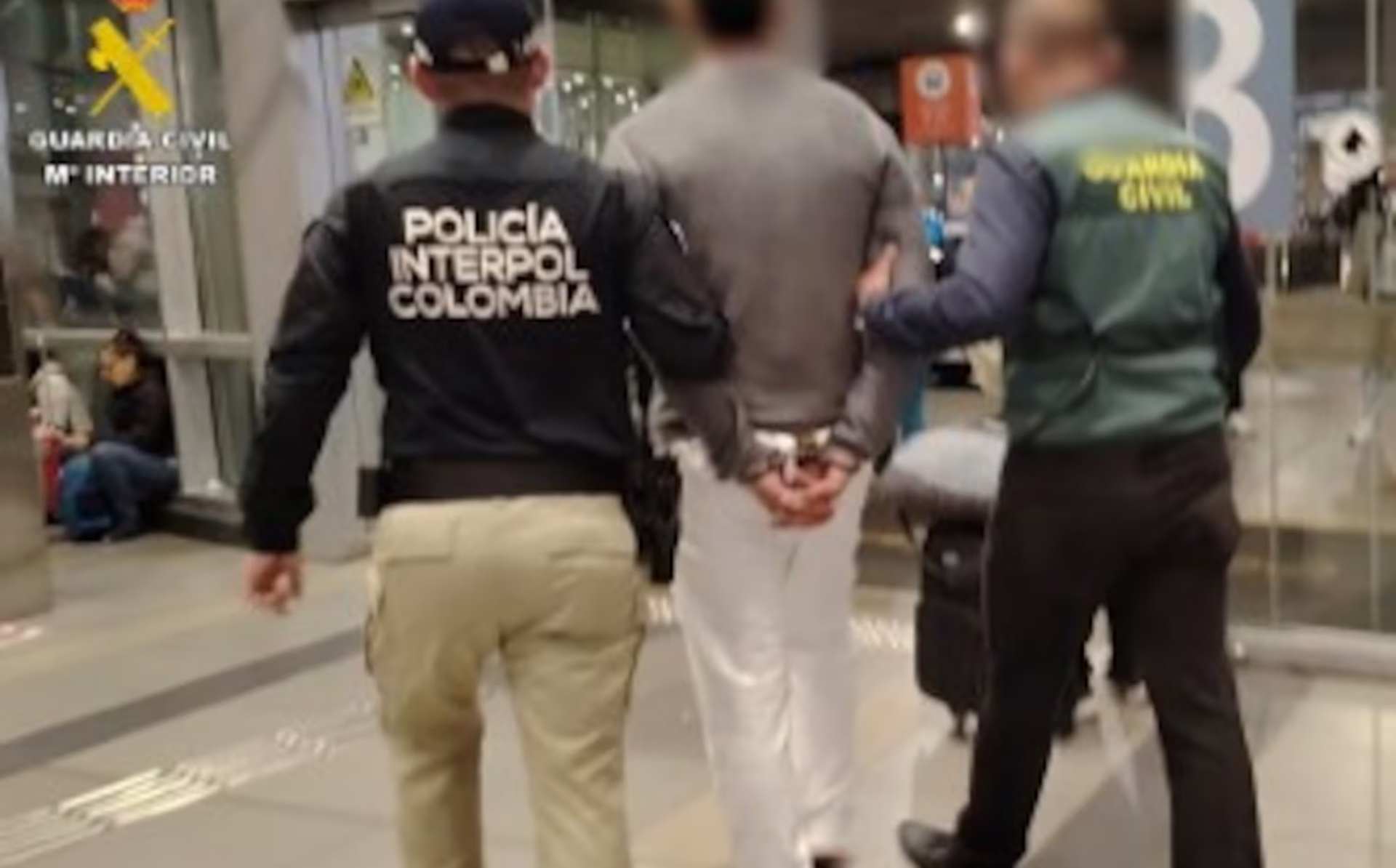 Cae una red de venta fraudulenta de mascotas con 28 detenidos en España y Colombia
