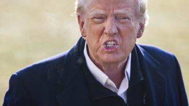 Trump amenaza con aranceles del 100 % para disuadir a los BRICS de reemplazar al dólar