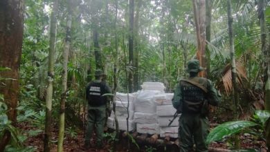 Incautan más de 5 mil kilogramos de droga en el sur de Venezuela