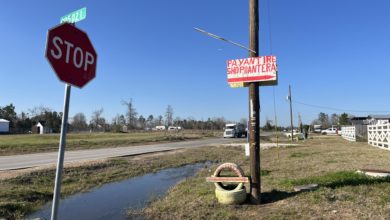 "Me siento intimidada": redadas en Texas avivan temor entre migrantes