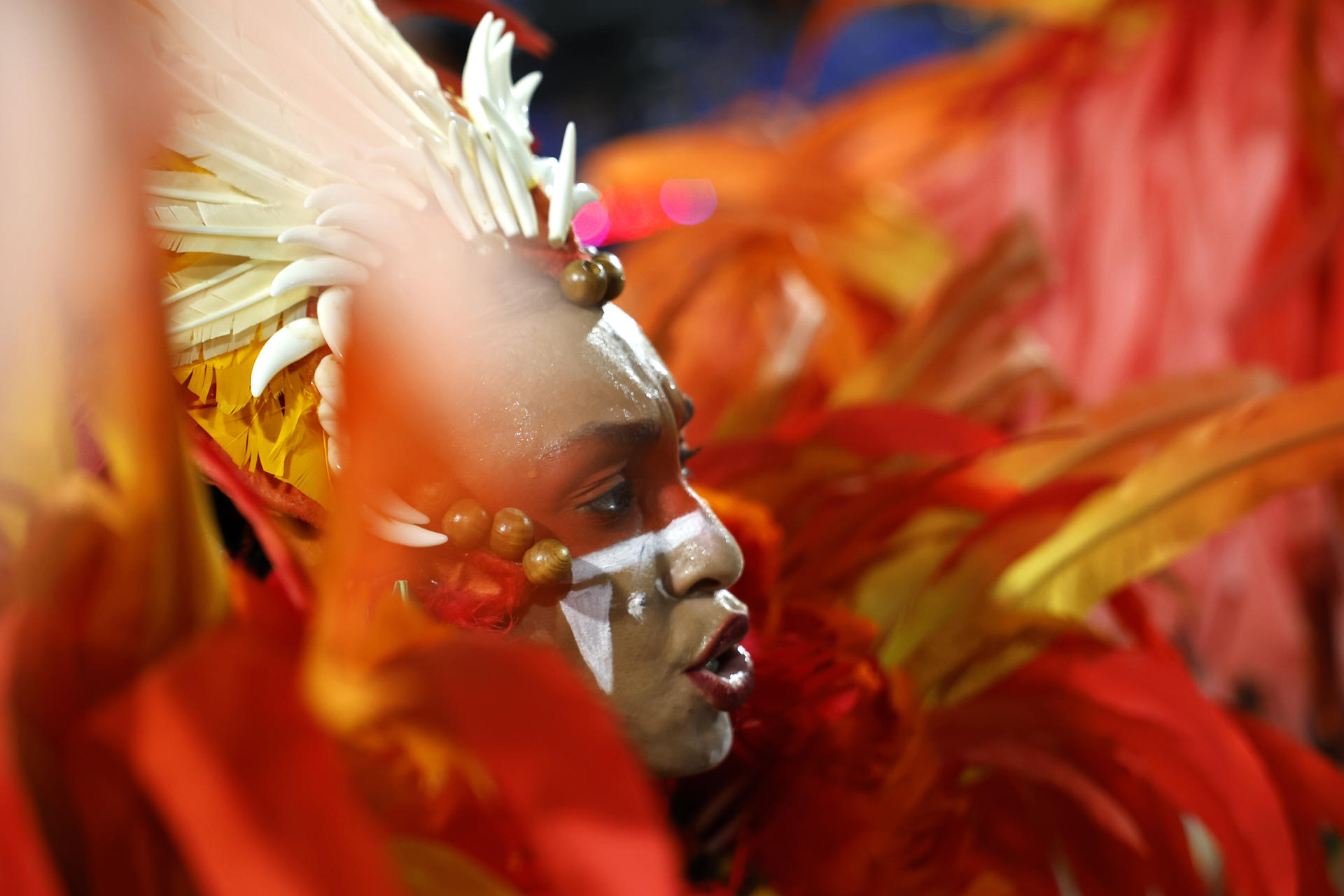El Carnaval de Río baja el telón con desfiles exaltando el medio ambiente y la diversidad