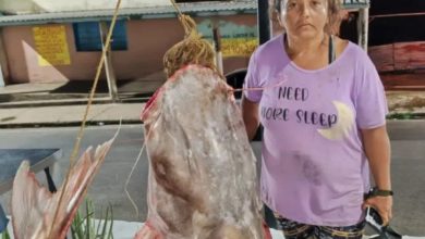 Lola la pescadora sorprende con la captura de un impresionante lau lau en el Orinoco (+FOTOS)