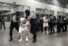 Machado y González Urrutia piden evitar la "injusta criminalización" de los migrantes venezolanos