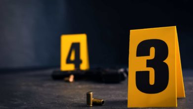 Tragedia en Florida: Cuatro muertos en un caso de violencia doméstica (+VIDEO)
