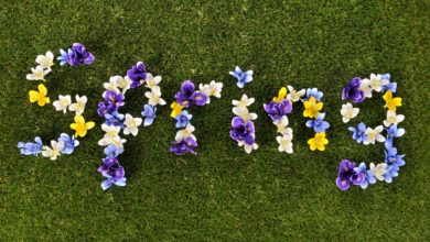 La primavera llegó a Estados Unidos: Lo que debes saber sobre esta estación