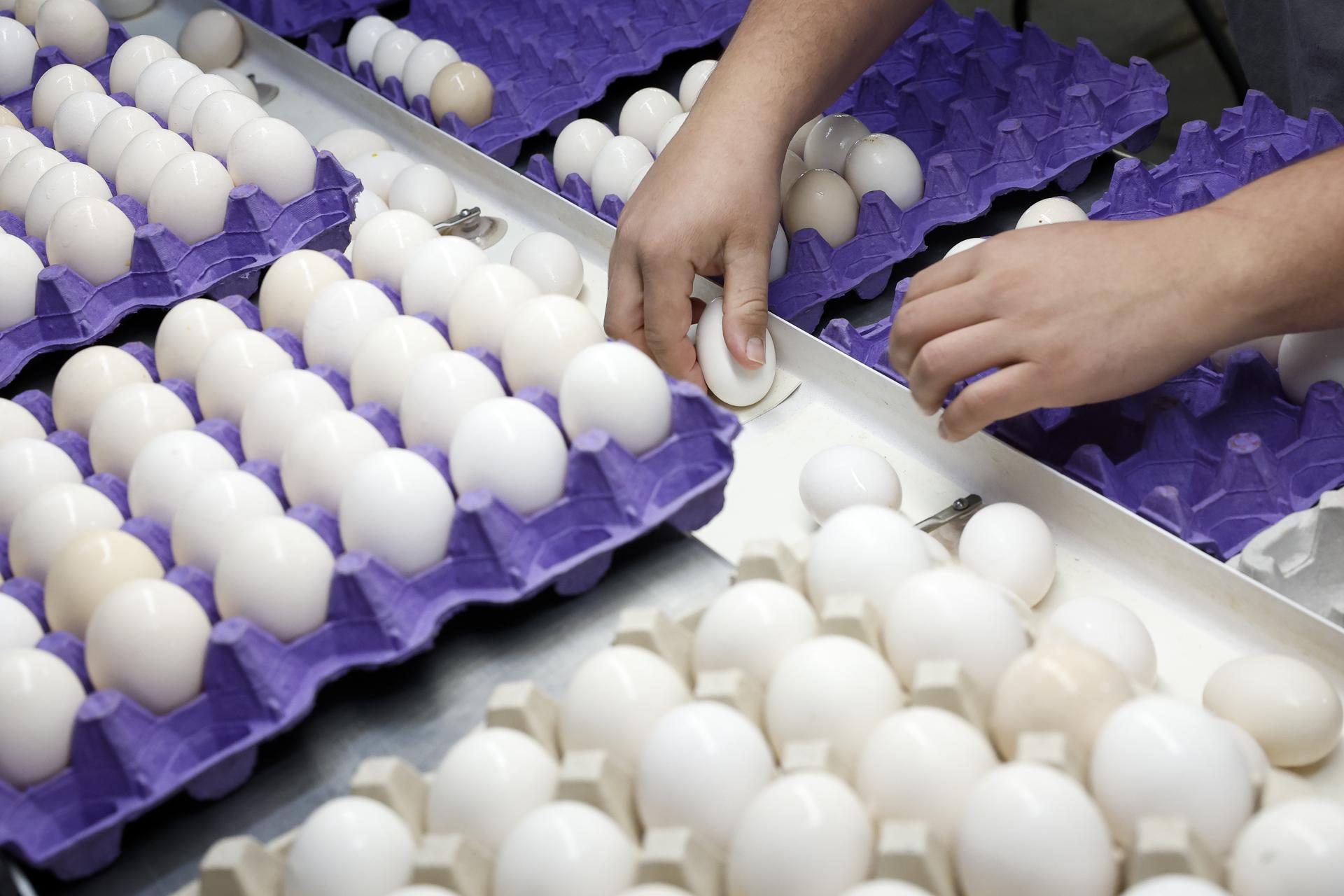 El precio de los huevos sube a máximos históricos en EE.UU.