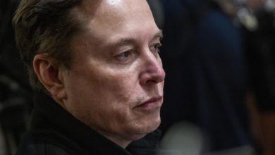 El departamento de Elon Musk accederá a información sensible de inmigrantes en EE.UU.
