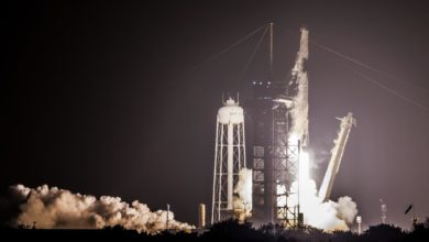 Despega una nueva misión de aprovisionamiento para la Estación Espacial Internacional