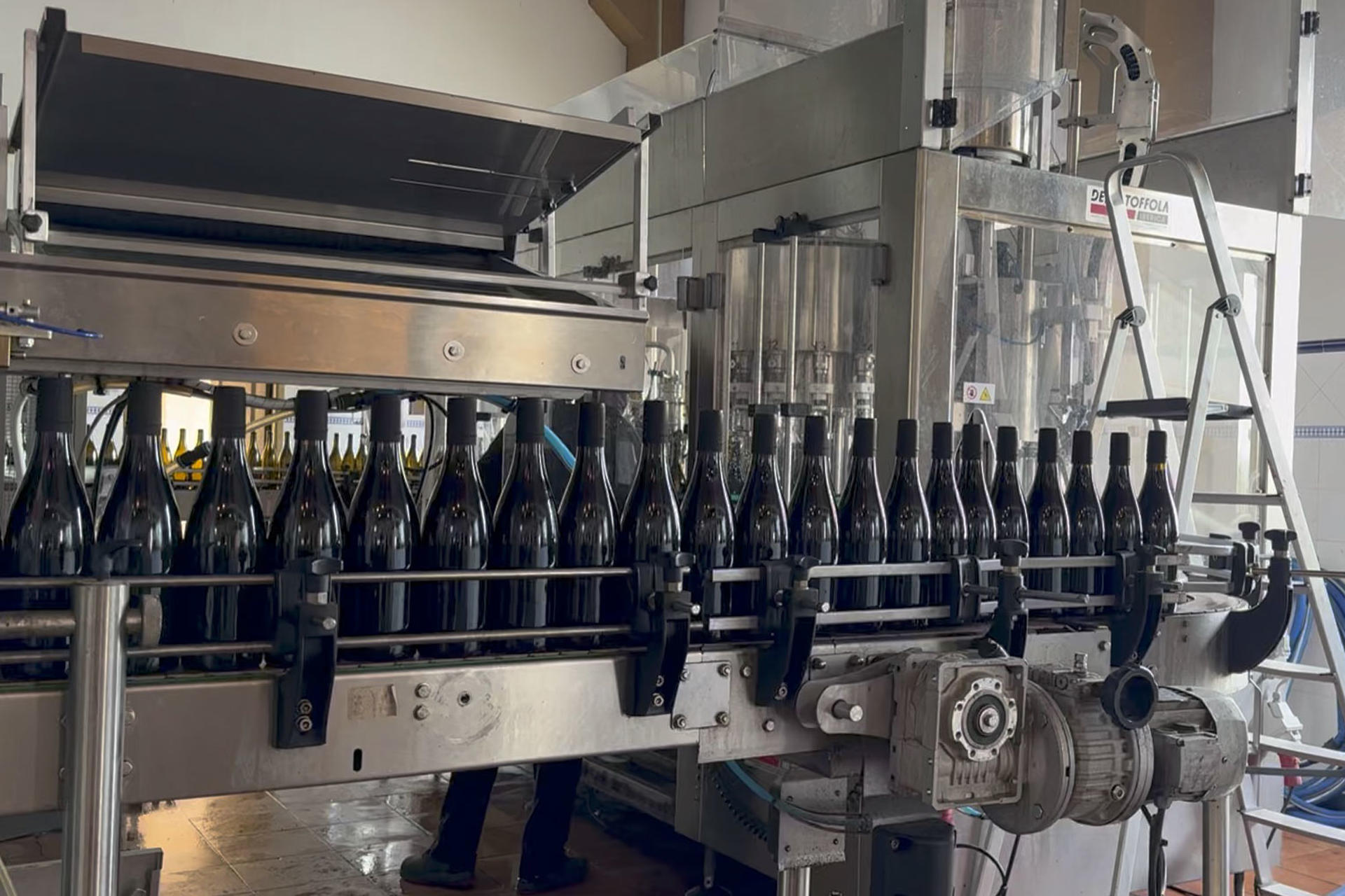 Distribuidoras de vino en EEUU, preocupadas por el impacto de los aranceles en el sector