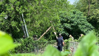 Migrante en EEUU pasó ocho horas subido a un árbol para evitar ser arrestado por migración