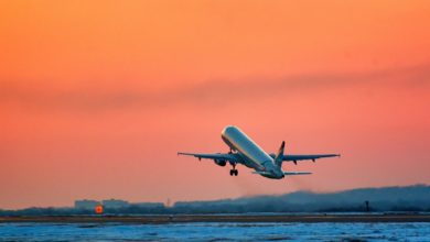 ¿Puedo volar dentro de EE.UU. si no tengo papeles? Lo que todo hispano debe saber antes de subir a un avión