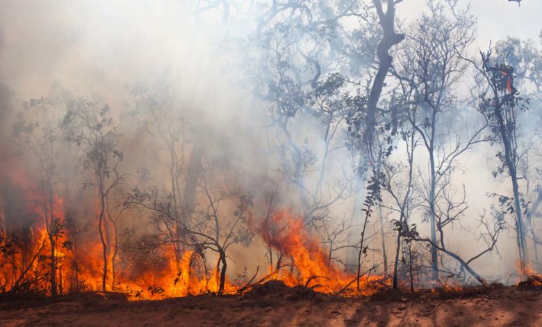 El gobernador Cox firmó una orden ejecutiva para fortalecer la preparación ante incendios forestales en Utah