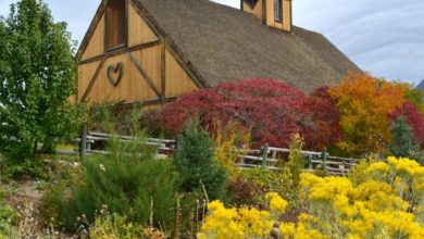 ¡Celebra la primavera! Visita la Granja Histórica Wheeler
