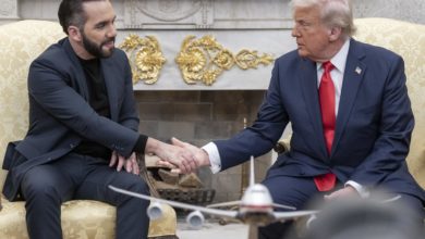 Un juez acusa al Gobierno de Trump de estar "creando caos" con expulsiones de migrantes