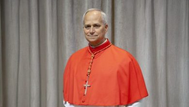 ¿Quién es el nuevo papa León XIV? Robert Francis Prevost hace historia como el primer papa nacido en Estados Unidos con nacionalidad peruana