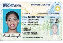 Cinco estados aceptarán licencias mejoradas como alternativa al REAL ID desde este 7 de mayo