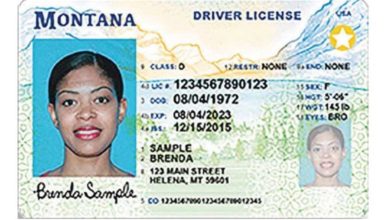 Cinco estados aceptarán licencias mejoradas como alternativa al REAL ID desde este 7 de mayo