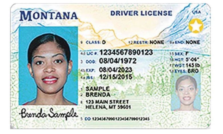 Cinco estados aceptarán licencias mejoradas como alternativa al REAL ID desde este 7 de mayo