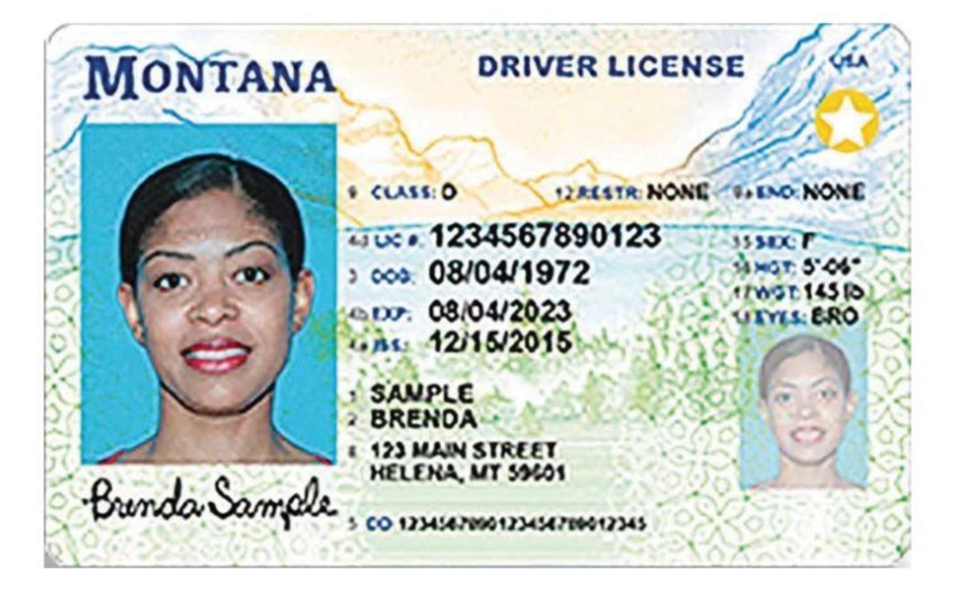 Cinco estados aceptarán licencias mejoradas como alternativa al REAL ID desde este 7 de mayo