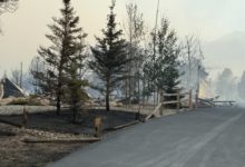 Fuego imparable en Utah arrasa 12 viviendas y fuerza evacuaciones masivas en Pine Valley