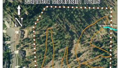 Ataque mortal en Idaho: Dos bomberos asesinados durante incendio provocado en Canfield Mountain