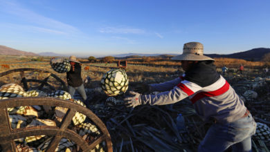 Los migrantes indocumentados en EEUU: fuente de impuestos, empleos y masa de consumidores