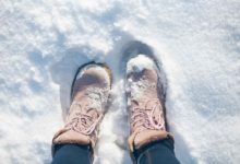 Snowbird arrasa: Lidera la temporada de nieve en Utah con más de 540 pulgadas
