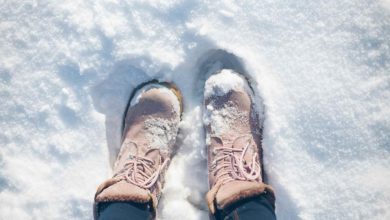 Snowbird arrasa: Lidera la temporada de nieve en Utah con más de 540 pulgadas