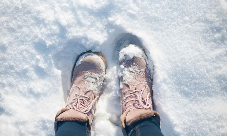 Snowbird arrasa: Lidera la temporada de nieve en Utah con más de 540 pulgadas