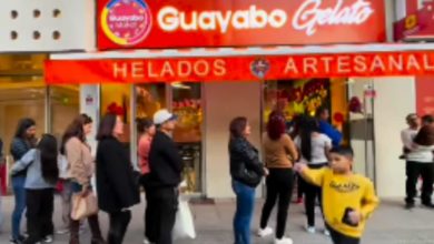 Guayabo Gelato: El rincón más dulce de Venezuela en el corazón de Santiago de Chile