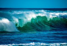 Día Mundial de los Océanos, una fecha dedicada a reconocer la mayor maravilla de la naturaleza
