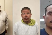Redada migratoria en granja de cannabis en California supone la mayor desde el regreso de Trump, con 361 detenidos