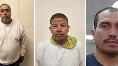 Redada migratoria en granja de cannabis en California supone la mayor desde el regreso de Trump, con 361 detenidos