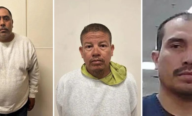 Redada migratoria en granja de cannabis en California supone la mayor desde el regreso de Trump, con 361 detenidos
