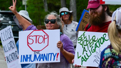 Legisladores denuncian que hay 750 migrantes en jaulas en el 'Alligator Alcatraz' de EEUU