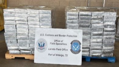 Hallan más de 23 millones en metanfetamina en cargamento de papaya proveniente de México