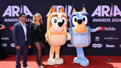 Bluey se sube por primera vez a un escenario colombiano con su espectáculo en directo