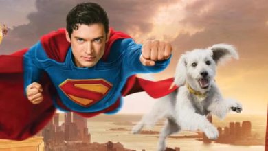 Krypto, el superperro que disparó las adopciones caninas tras el estreno de Superman