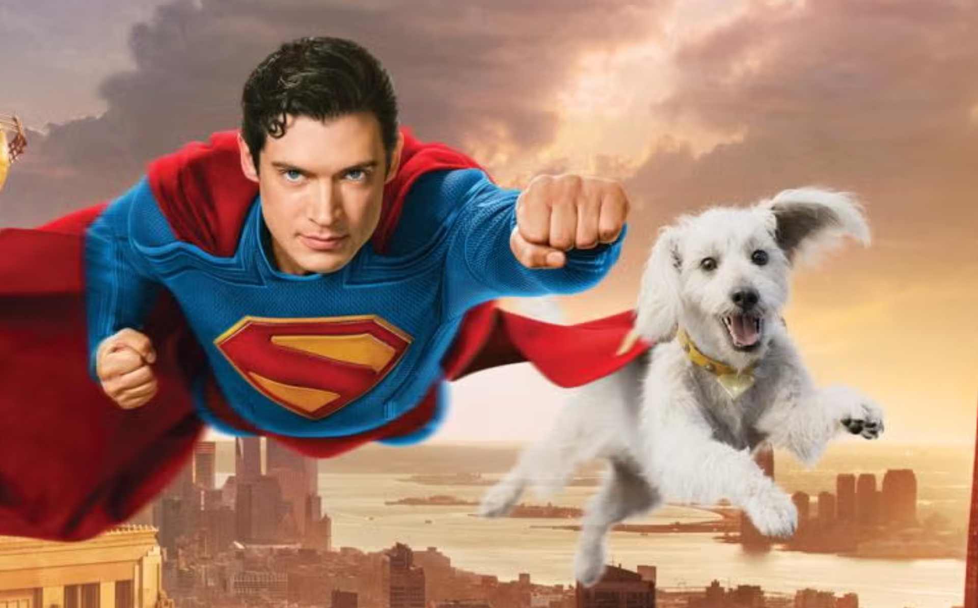Krypto, el superperro que disparó las adopciones caninas tras el estreno de Superman