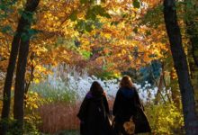 “Problemas en Oz”: Regresa Garden After Dark al Red Butte Garden