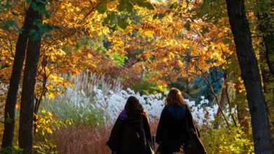 “Problemas en Oz”: Regresa Garden After Dark al Red Butte Garden