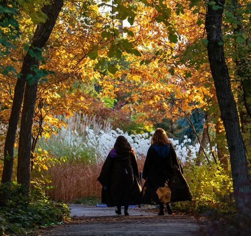 “Problemas en Oz”: Regresa Garden After Dark al Red Butte Garden