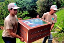 Liberación de fauna en el Ávila: Un acto de vida que fortalece la biodiversidad