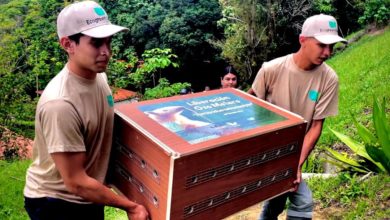 Liberación de fauna en el Ávila: Un acto de vida que fortalece la biodiversidad